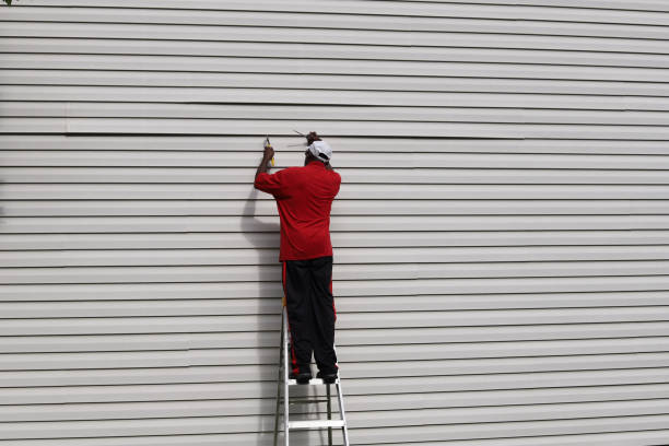 Best Steel Siding Installation  in Burwell, NE